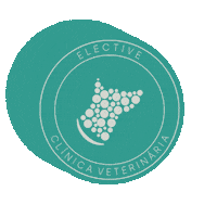 electiveveterinaria maringa elective elective veterinária elective clinica veterinaria Sticker
