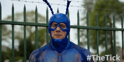 season 1 GIF by The Tick