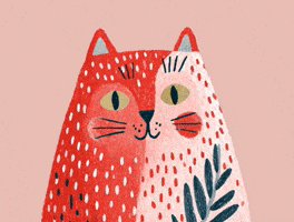 Cat Hello GIF by Clemens Posch