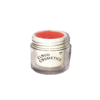 watermelon lipscrub Sticker by Cloud Cosmetics