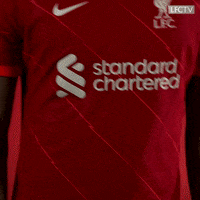 Premier League Football GIF by Liverpool FC