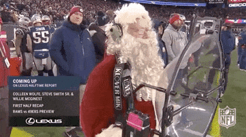 2019 Nfl Football GIF by NFL