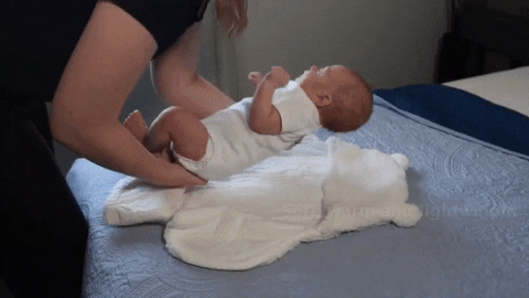 homysense giphyupload GIF