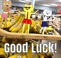 Betakkuma GIF by Flickplay