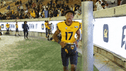 Earn It Golden Bears GIF by Cal Athletics