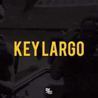 GIF by Defjamfrance