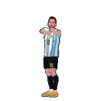 World Cup Football Sticker by Panini America
