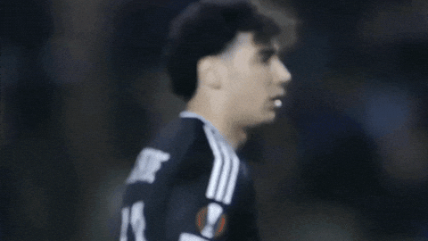 Azerbaijan Qarabagh GIF by Studo