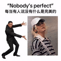 Nobodys Perfect Perfection GIF