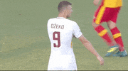 happy serie a GIF by AS Roma