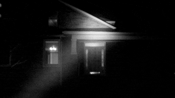 sub pop beach house band GIF by Sub Pop Records