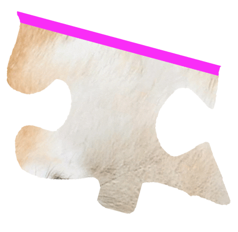 Puzzle Shiba Sticker