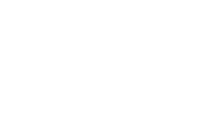 ws vaisafadao Sticker by Wesley Safadão