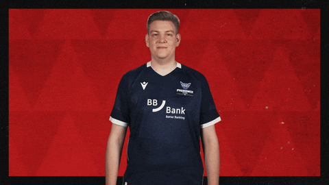 Karlsruher Sc Football GIF by Bundesliga