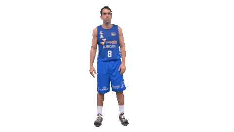 Liga Endesa Basketball Sticker by ACB