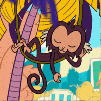 brunocromia bh belo horizonte penca mico estrela GIF