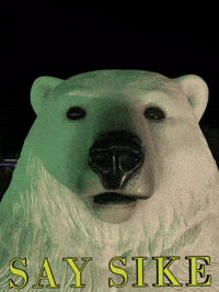 Polar Bear Sike GIF