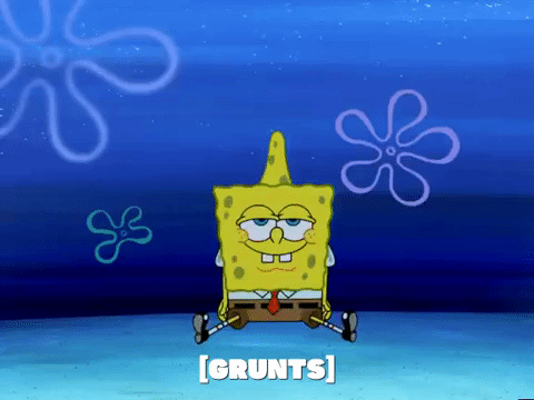 season 5 GIF by SpongeBob SquarePants