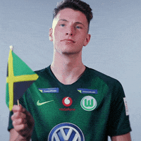 fifa 18 football GIF by VfL Wolfsburg