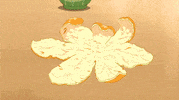 GIF by Crunchyroll