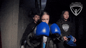 allroundchampiontv fight boxing punch olympics GIF