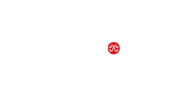 Party Beer Sticker by Lech