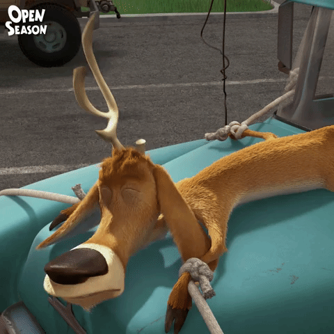 sonyanimation  GIF