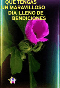 Dia Flores GIF by Murcianys LLC