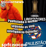 Santos Corinthians GIF
