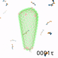 GIF by The University of Chicago