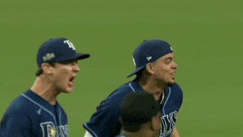 Excited Major League Baseball GIF by MLB