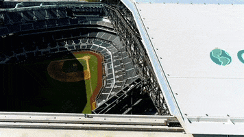 Major League Baseball Sport GIF by MLB