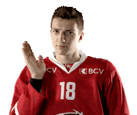 Lhc Lausannehc Sticker by Lausanne Hockey Club