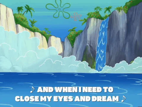 season 6 GIF by SpongeBob SquarePants