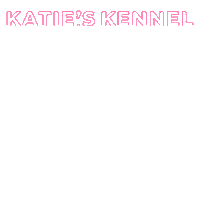 katieskckennel dog puppy dogs play Sticker