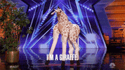 Giraffe GIF by America's Got Talent