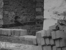 NationalWWIMuseum black and white surprise military spy GIF