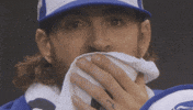 Yell Lets Go GIF by Toronto Blue Jays