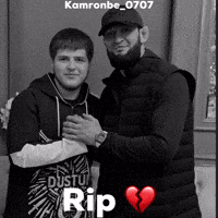 Khabib Nurmagomedov Ufc GIF