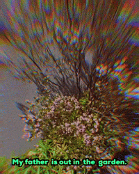 Flowers Spring GIF by KaoruHironaka