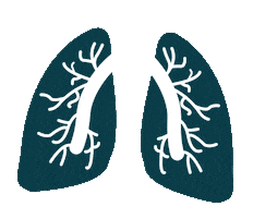 fgn-fortbildungen medical lunge medizin fortbildung Sticker