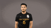 Division Ii Soccer GIF by Cal State LA Golden Eagles