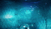 she and him christmas GIF by Columbia Records