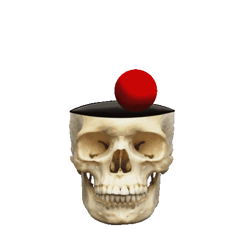 Skull Muerto Sticker