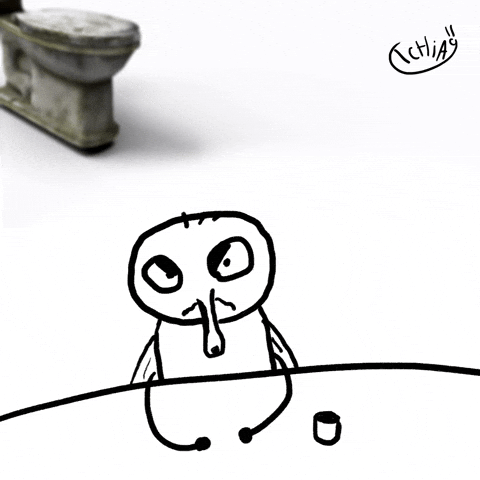 T9chia angry fly morocco maroc GIF