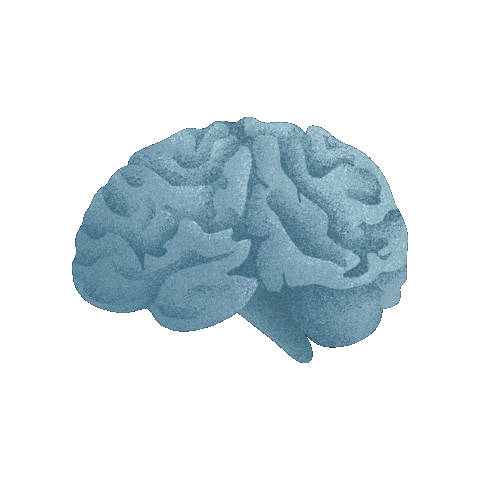 Marketing Brain Sticker by Branches Mission Lab