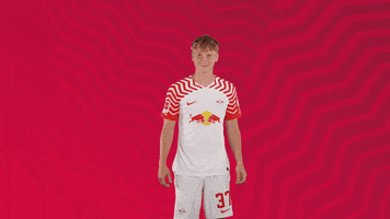 Oh Yeah Yes GIF by RB Leipzig