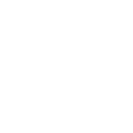 Z Sticker