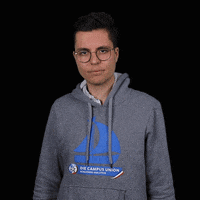 RCDS_S-H ju junge union rcds konservativewelle GIF