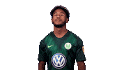 Football Soccer Sticker by VfL Wolfsburg